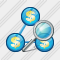 Country Business Search Icon