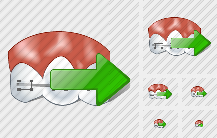 Icone Braces Export
