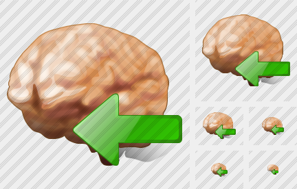 Brain Import Icon