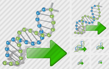 Dna Export Icon