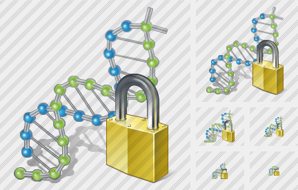 Icone Dna Locked