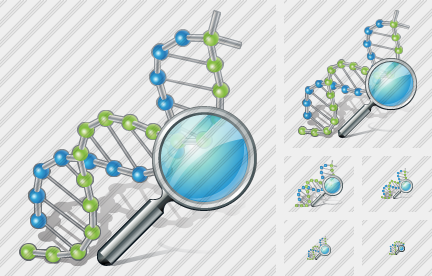  Dna Search