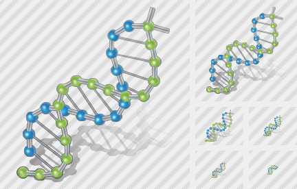  Dna