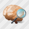 Brain Search 2 Icon