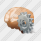 Brain Settings Icon