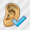 Ear Ok Icon