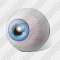 Eye Icon