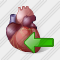 Heart Import Icon