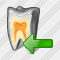 Root Import Icon