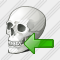 Skull Import Icon