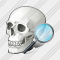 Skull Search 2 Icon