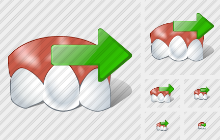  Normal Tooth Export