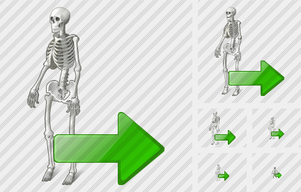 Icone Skeleton Export