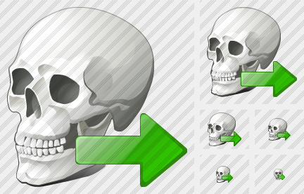 Icone Skull Export