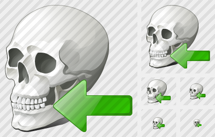  Skull Import