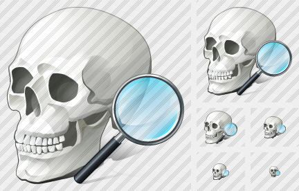 Icone Skull Search2